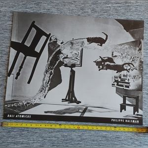Salvador Dali 24x30 Poster- Dali Atomicus